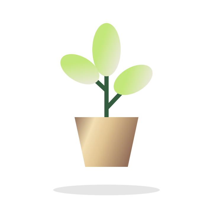 Indoor plant illustrative placeholder